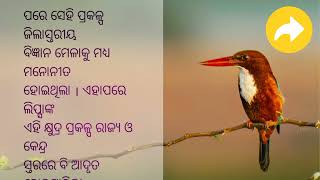 କୁନି ଝିଅ ଲିପ୍ସାଙ୍କ ମହୁଲ ଗୋଟାଇବା ଯନ୍ତ୍ର | ଓଡ଼ିଆ କାହାଣୀ |odia story heart touching story