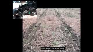 Corn Response to Tillage Systems, Starter Fertilizer, and Row Spacing