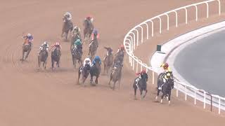 Race Replay: UAE Derby