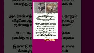 நாய்களுக்கு எதிரா எது நடந்தாலும் தெரியபடுத்துங்கள் #streetdogshelp #doglover #helpstraydogs #pets