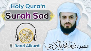 the most beautiful Quran Recitation|| Heart Touching || sheikh Raad alkurdi