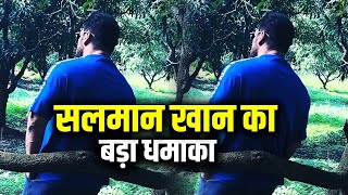 Salman Khan Latest Backpose Look Shared By Ashley Rebello Something New Coming | Antim Movie