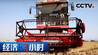 多地增产又增收，夏粮丰收已成定局「经济半小时」20220628 | CCTV财经