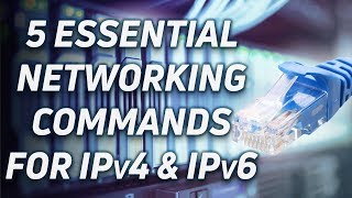5 Essential Networking Commands for Linux, Windows and macOS