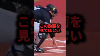 この動画を見てほしい #野球#甲斐拓也#野球解説