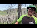 2020 epic tree felling compilation