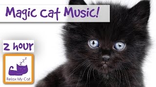 Magic Cat Music Watch Your Cat Fall Asleep Before Your Eyes With Our Specially Designed Cat Music