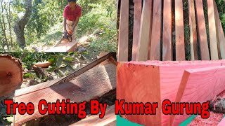 Chainsaw Operator Skills | Make Wooden Useful Size By Mr Kumar Gurung Dhading Marpak Thala