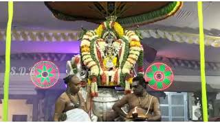 SRI KARBAGAAMBAAL UDDANURAI SRI KABALEESHWARAR TEMPLE VARUDAANTHRA PANGUNI BRAMOOCHARAM FESTIVAL