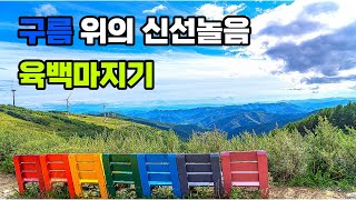 해발 1200m 육백마지기 차박캠핑 (수정본)ㅣ노지캠핑ㅣ평창 육백마지기