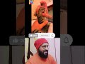 🐱சுட்டித்தனமான 😺பூனைகள் funny cats shorts viralvideo funny cat cats catlover