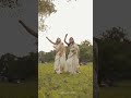 athinthom 💃🏻💃🏻 Sisters Dance|AishuAnu| #shortsfeed #dance #sisters #saree #tamil #shorts #short