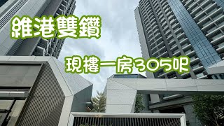 維港雙鑽｜現樓｜一房305呎