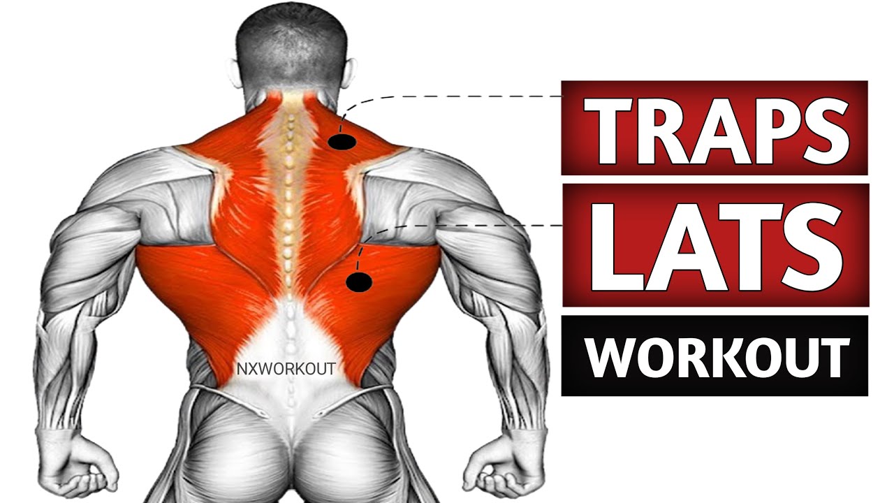 The Ultimate Lats And Traps Workout | Traps Workout | Lats Workout ...