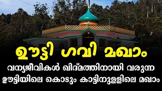 #alziyarah #ooty_gavi_dargah ഊട്ടിയിലെ ഗവി മഖാം|സയ്യിദ് ഹസ്സൻ ഷാ ഖാദിരി(റ)Vlog-357