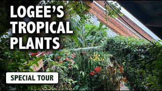 Logee's Tropical Plants Nursery Tour | Is this place a plant nursery or botanic garden??