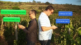 Furmint Adventures - Episode 11.: Gizella Cellar