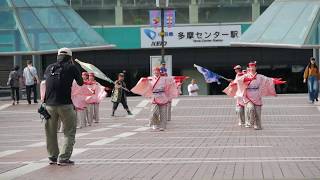 よさ恋人（2018たまよさこい・多摩センター駅会場）