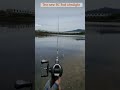 review rod baitcasting shorts casting haruan gabus ultralight insta360 malaysia indonesia