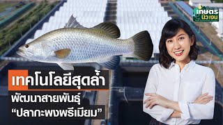 เทคโนโลยีสุดล้ำ พัฒนาสายพันธุ์ “ปลากะพงพรีเมียม” | เกษตรนิวเจน | 9/04/65 (FULL)