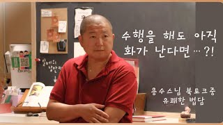 수행을 해도 해도 ‘욱’올라오는 화?? [용수스님 생활법문]