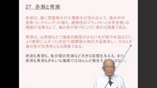 化学が好きになる手引き（27.赤潮と青潮）