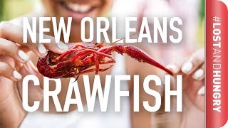 New Orleans - How Do You Eat Crawfish?! #LostandHungry