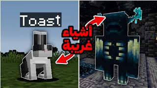 30 معلومة غريبة في ماين كرافت… | Minecraft