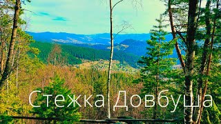 Hike at the Carpathian Mountains over Yaremche