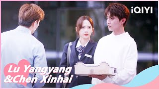 🎇Jing Cheng Break's Jing Chen's Winter Solstice | Falling Before Fireworks EP17 | iQIYI Romance