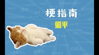 躺平是什么梗【梗指南】