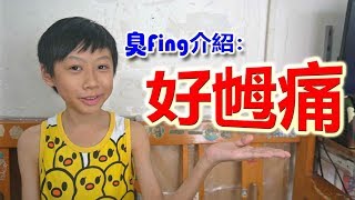 臭Fing介紹：好乸痛 (2019-09-08) ver2