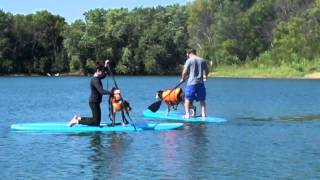 The Ruff Break - SUP boarding with dogs