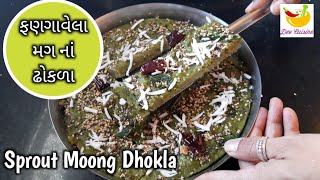 ફણગાવેલાં મગ નાં ઢોકળા || Healthy Sprout Moong Dhokla || Immunity Booster nasta #Sproutmoongdhokla