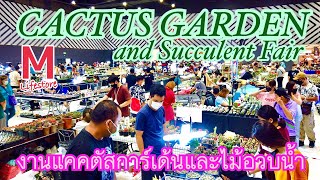 【4K】งานแฟร์ แคคตัสการ์เด้น และ ไม้อวบน้ำ 2565 CACTUS GARDEN and Succulent Fair 2022 Bangkok Thailand