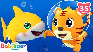 【新】鯊魚一家 +更多兒歌🎵 | 我有只泰迪熊 | 熱門TOP | 兒歌 | 童謠 | Kids Song | Babytiger | 貝樂虎