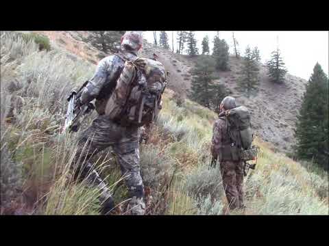 Archery Elk Hunt Archery Elk Hunt