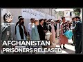 Afghanistan forced to release prisoners as healthcare collapses