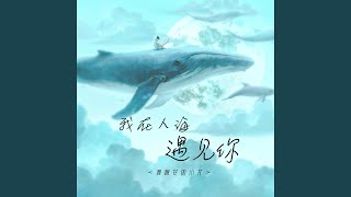 我在人海遇见你 (无独白版)