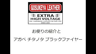 お便りの紹介と アガベ チタノタ ブラックファイヤー