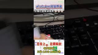 ws超级号群发，WhatsApp最新群发技术