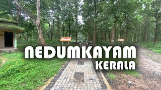 Rain Forest of Kerala | Tourist Spot  |  Nedumkayam | Nilambur