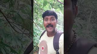 #പഠിക്കാൻ സ്കൂളിൽ പോകേണ്ടാ 😂🤣😅🥰😍🤩🩵💙❤️#youtubeshorts #shortvideos #viral #shorts #