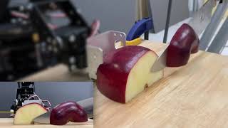 Robotic Cutting: Mechanics and Control of Knife Motion