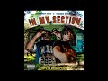 Monewaypeso Type Beat x Stacks Osama - In My Section (Prod. By makaveliNthis)