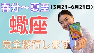 【蠍座】引っ張りあげられ、抜け出します！| 癒しの占いで春分から夏至の運勢をみる