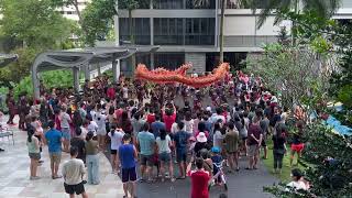 延续传统，舞龙舞狮团带着财神爷又来🏘️拜年了💃💃💃，邻里和睦社区兴旺，人旺财旺福气旺🧨🧨🧨