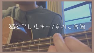 猫とアレルギー/きのこ帝国【弾き語りcover】