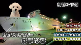 【新日本海フェリー】愛犬と「はまなす」で舞鶴⇔小樽航路へ、片道21時間の船旅