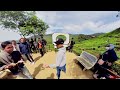 🌱 healing walk at cameron valley bharat tea plantation cameron highlands pahang insta360